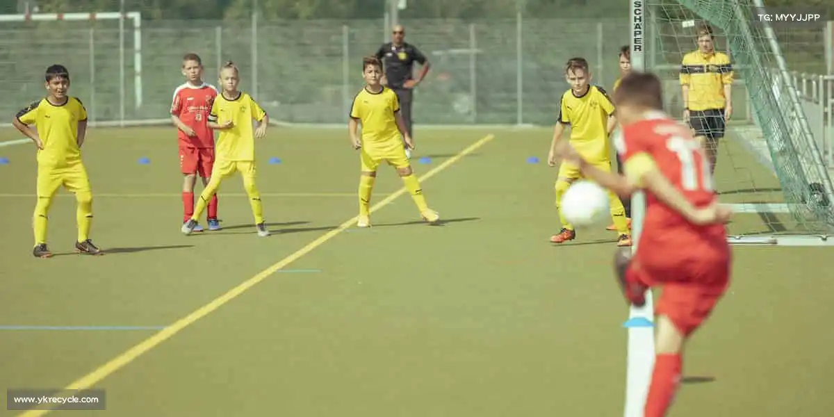 为什么选择我们